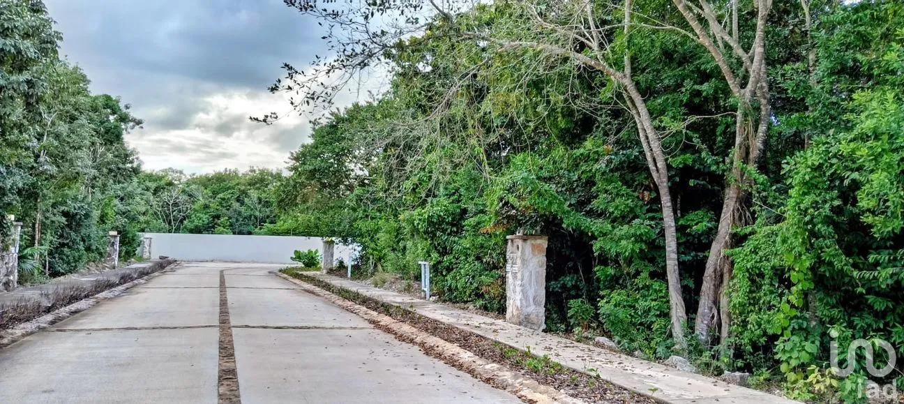 Terreno en Venta en Los Santos, Benito Juárez, Quintana Roo | NEX-255650 | iad México | Foto 4 de 12