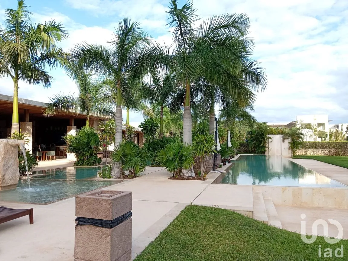 Terreno en Venta en Los Santos, Benito Juárez, Quintana Roo | NEX-255650 | iad México | Foto 6 de 12