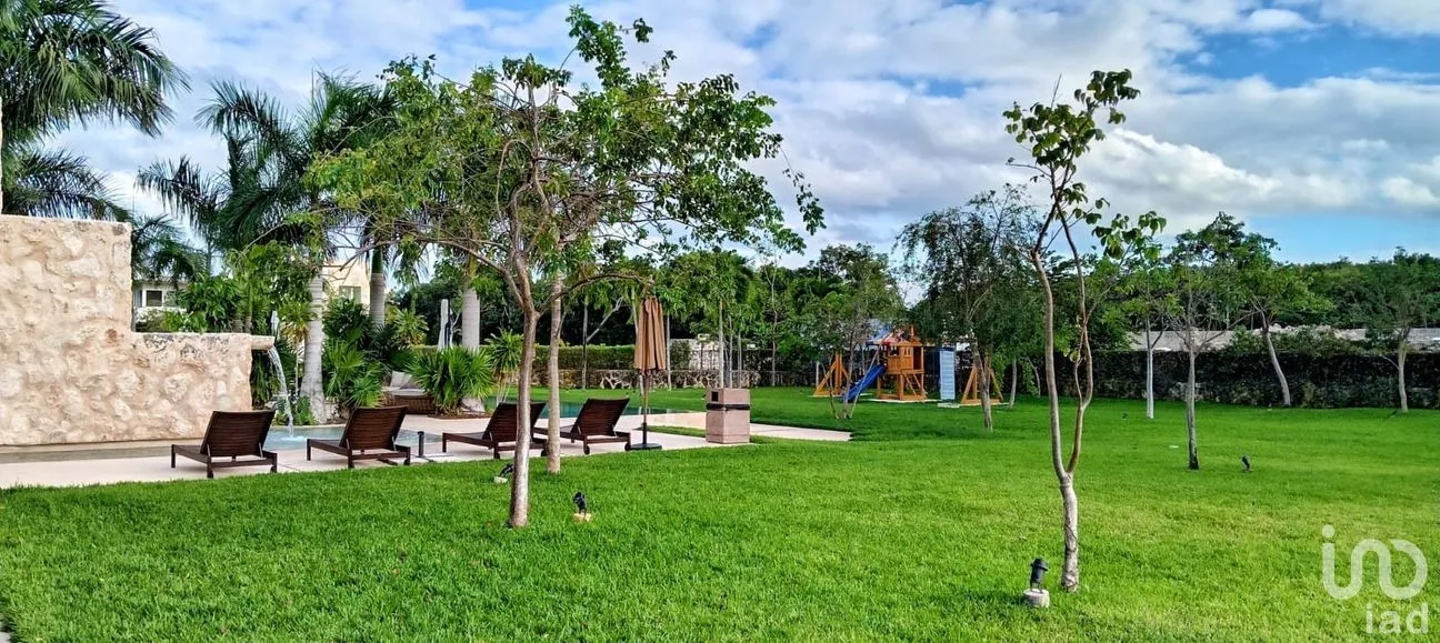 Terreno en Venta en Los Santos, Benito Juárez, Quintana Roo | NEX-255650 | iad México | Foto 7 de 12