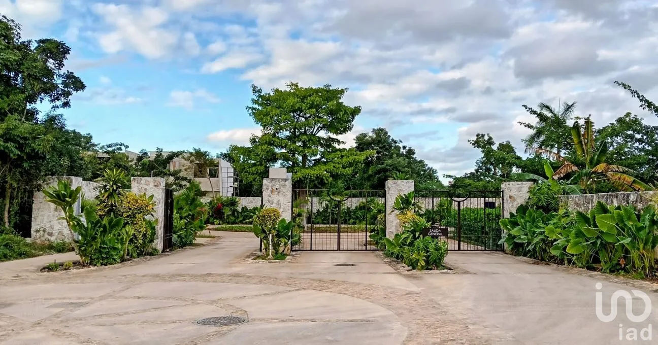 Terreno en Venta en Los Santos, Benito Juárez, Quintana Roo | NEX-255650 | iad México | Foto 8 de 12