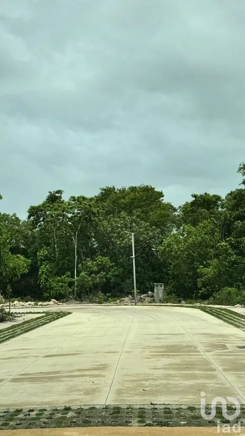Terreno en Venta en Residencial Monte Verde, Benito Juárez, Quintana Roo | NEX-256313 | iad México | Foto 3 de 7