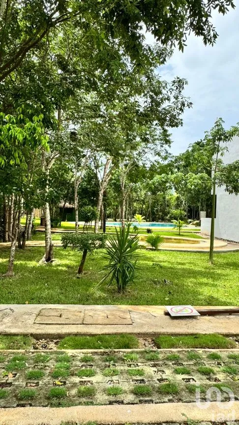 Terreno en Venta en Residencial Monte Verde, Benito Juárez, Quintana Roo | NEX-256313 | iad México | Foto 5 de 7