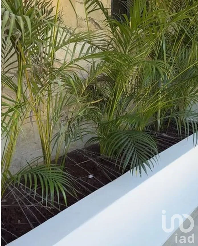 Casa en Venta en Los Santos, Benito Juárez, Quintana Roo | NEX-287696 | iad México | Foto 26 de 38
