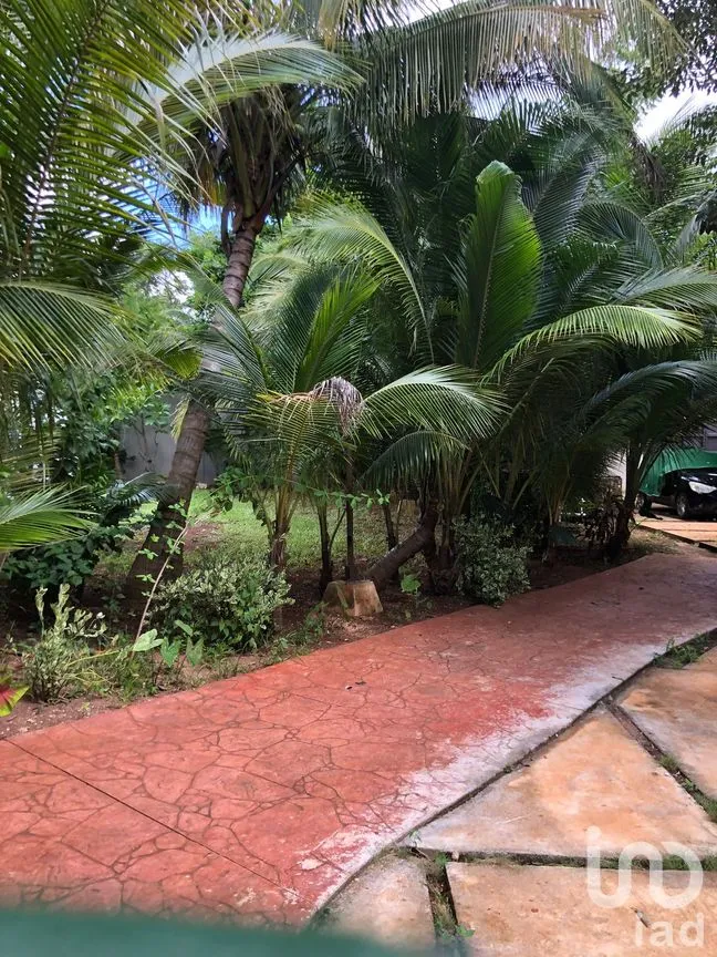 Rancho en Venta en Leona Vicario, Puerto Morelos, Quintana Roo | NEX-293449 | iad México | Foto 16 de 20