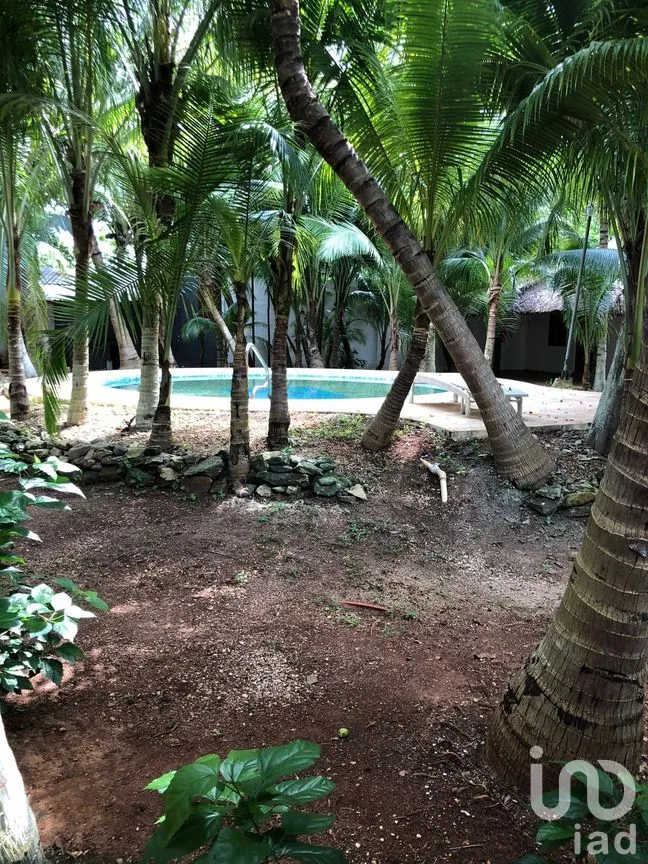 Rancho en Venta en Leona Vicario, Puerto Morelos, Quintana Roo | NEX-293449 | iad México | Foto 4 de 20