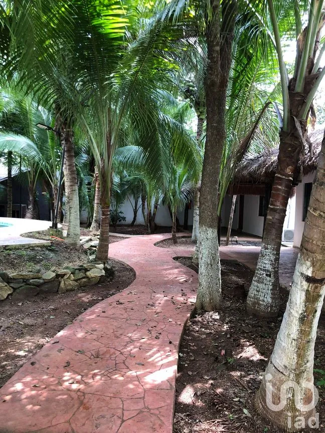 Rancho en Venta en Leona Vicario, Puerto Morelos, Quintana Roo | NEX-293449 | iad México | Foto 1 de 20