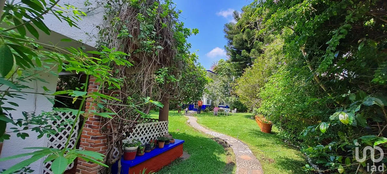 Casa en Renta en Jardines de Delicias, Cuernavaca, Morelos | NEX-157056 | iad México | Foto 7 de 29
