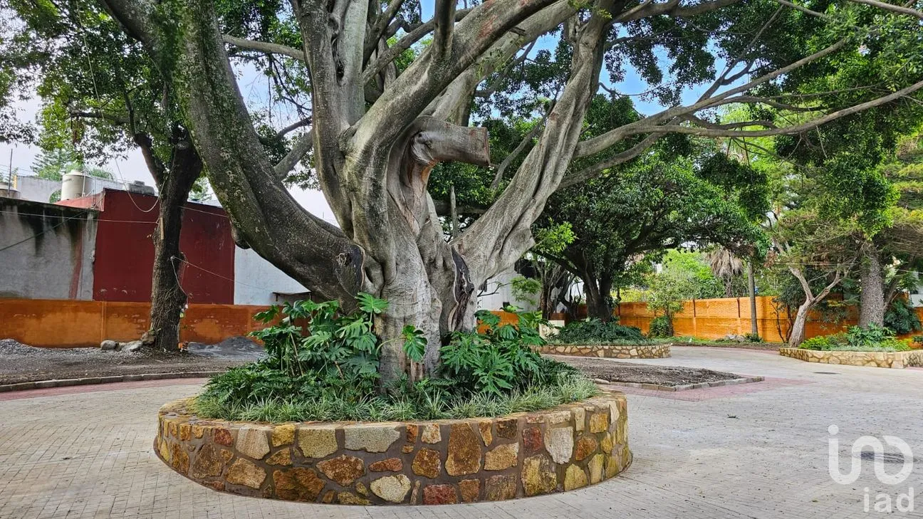 Terreno en Venta en Buenavista, Cuernavaca, Morelos | NEX-191768 | iad México | Foto 9 de 10