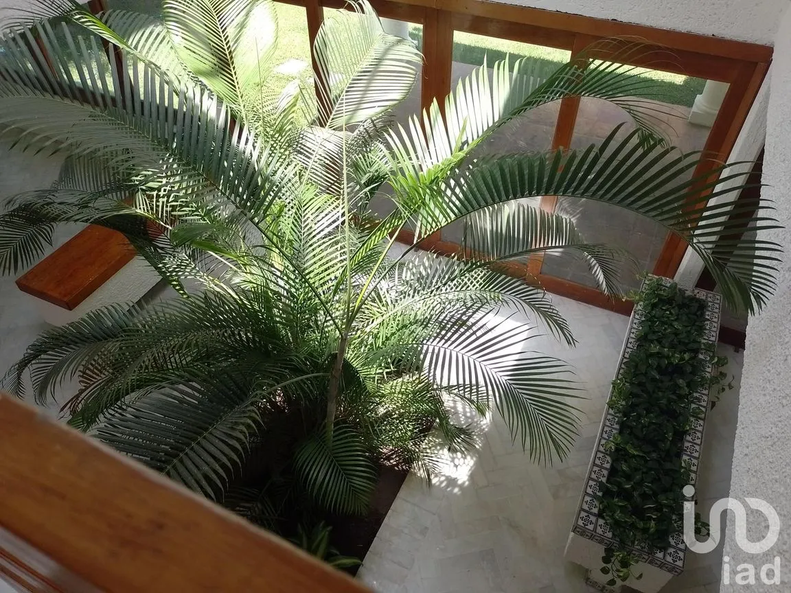 Casa en Venta en Vista Hermosa, Cuernavaca, Morelos | NEX-203291 | iad México | Foto 5 de 13