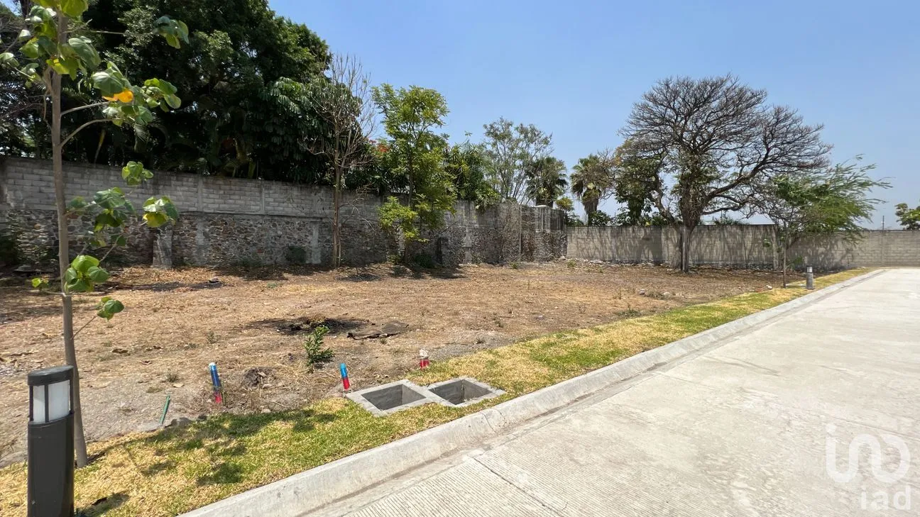 Terreno en Venta en Palmira Tinguindin, Cuernavaca, Morelos | NEX-203430 | iad México | Foto 11 de 17