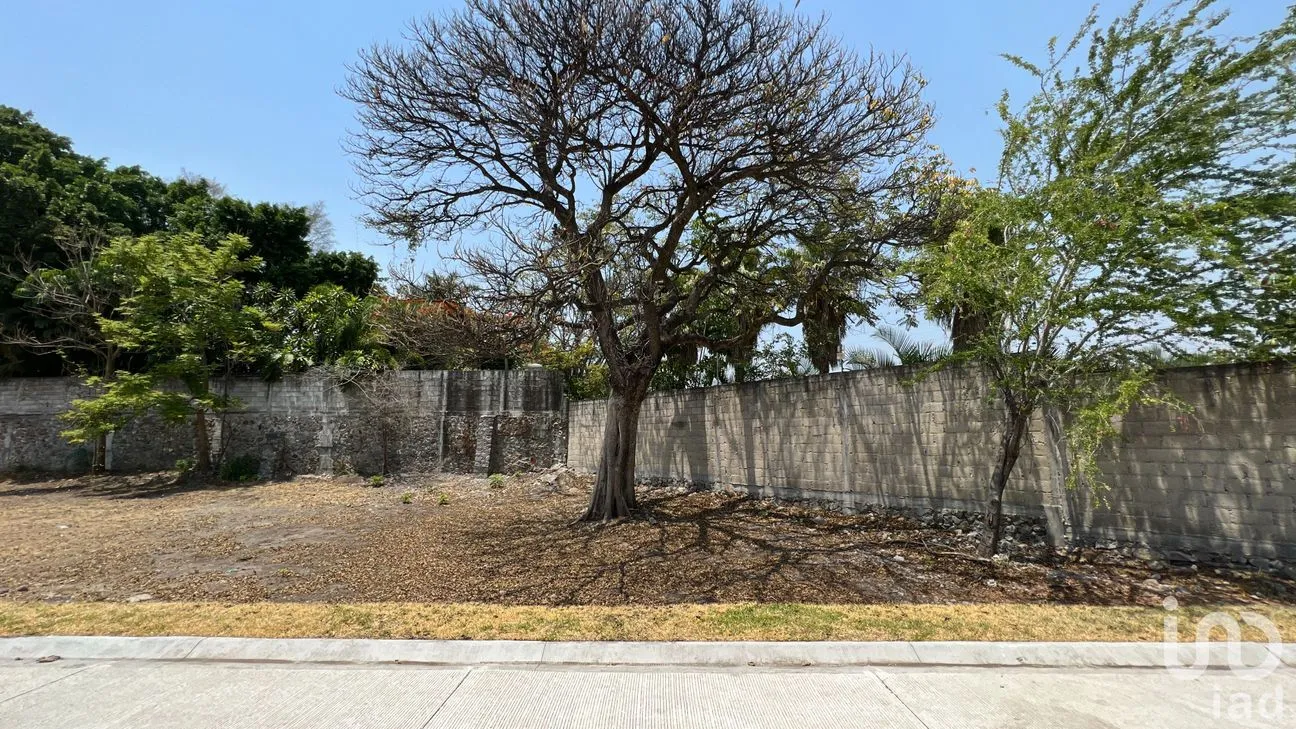 Terreno en Venta en Palmira Tinguindin, Cuernavaca, Morelos | NEX-203430 | iad México | Foto 7 de 17