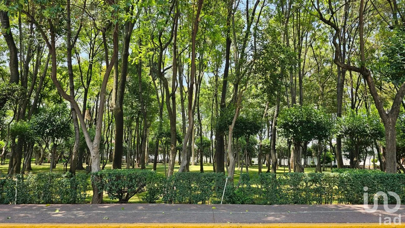 Casa en Venta en Pedregal de San Francisco, Coyoacán, Ciudad de México | NEX-250646 | iad México | Foto 5 de 45