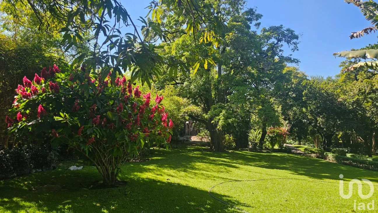 Casa en Venta en Tabachines, Yautepec, Morelos | NEX-287175 | iad México | Foto 8 de 26