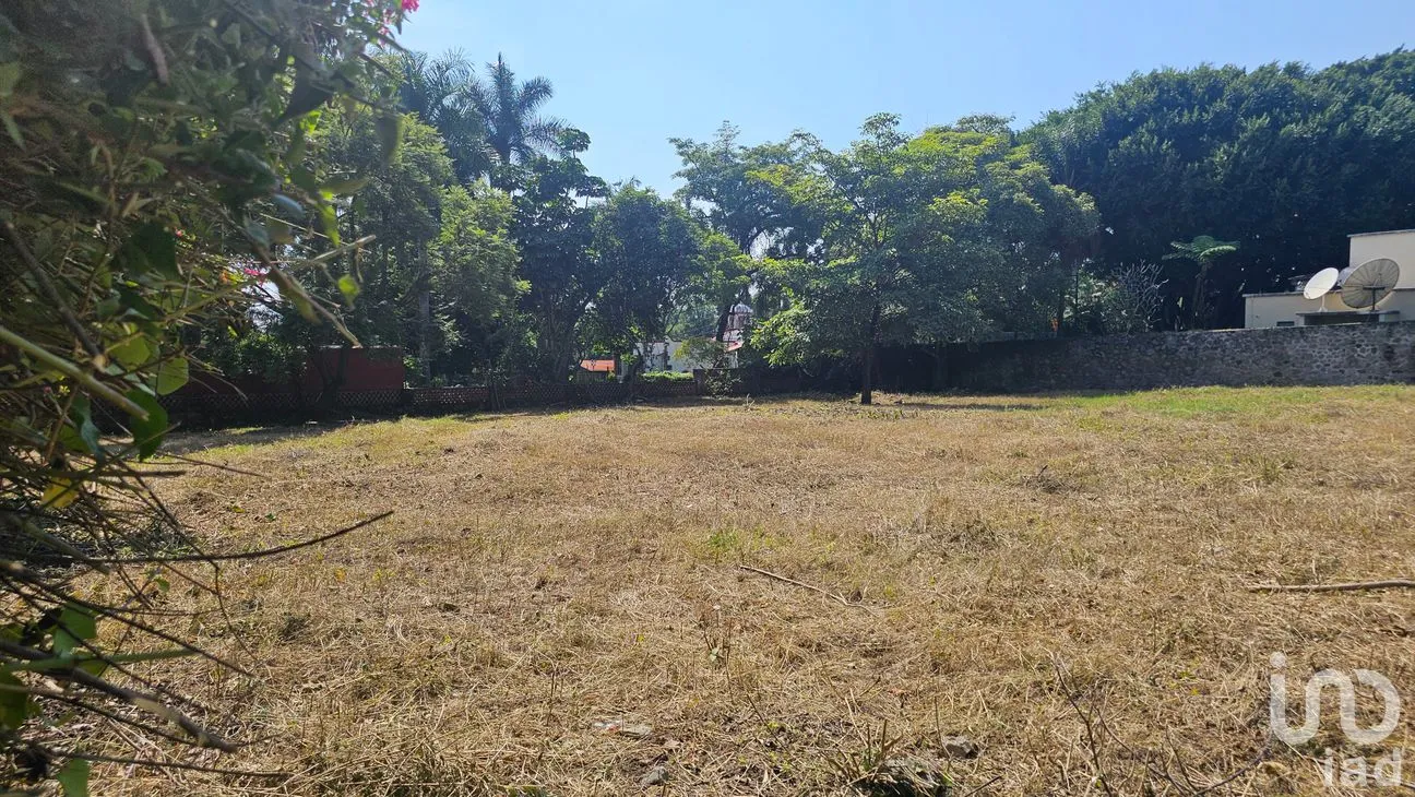 Terreno en Venta en Las Quintas, Cuernavaca, Morelos | NEX-291330 | iad México | Foto 4 de 6