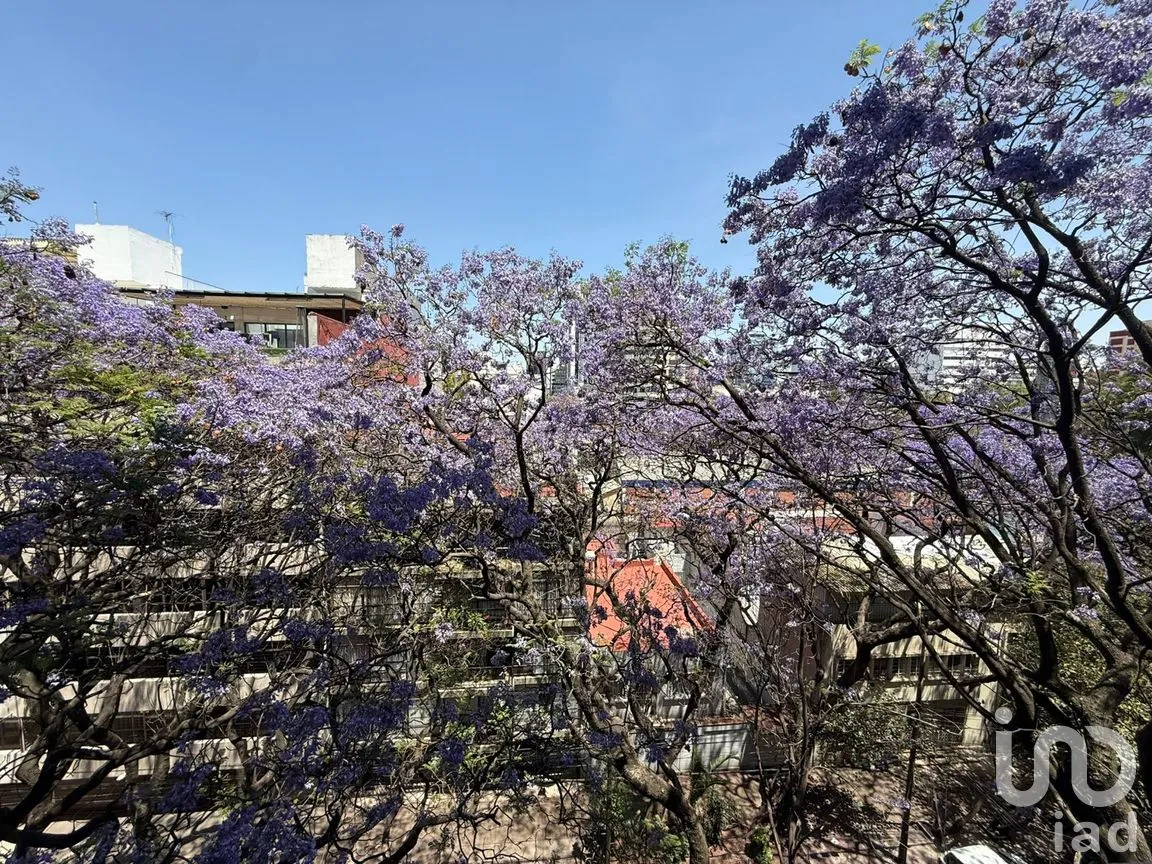 Departamento en Venta en Chapultepec Morales, Miguel Hidalgo, Ciudad de México | NEX-295885 | iad México | Foto 9 de 28