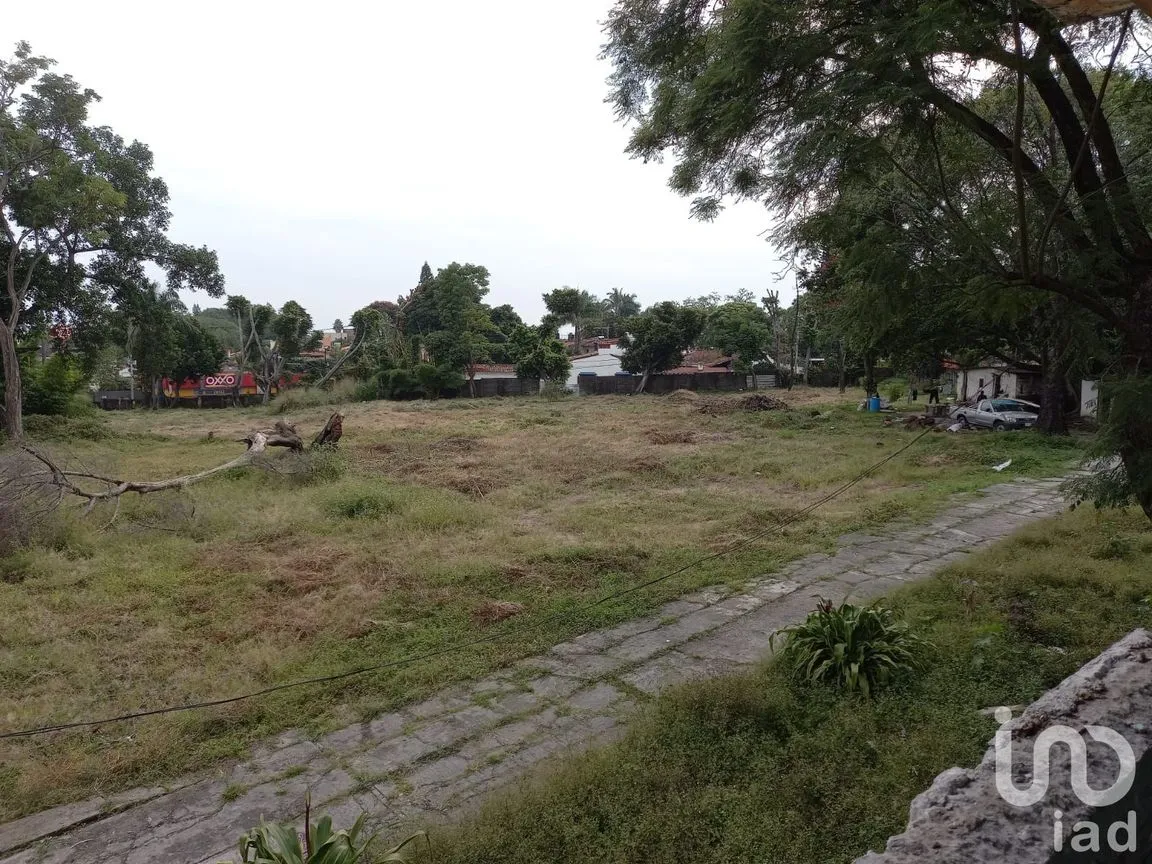 Terreno en Venta en Cantarranas, Cuernavaca, Morelos | NEX-150492 | iad México | Foto 2 de 13