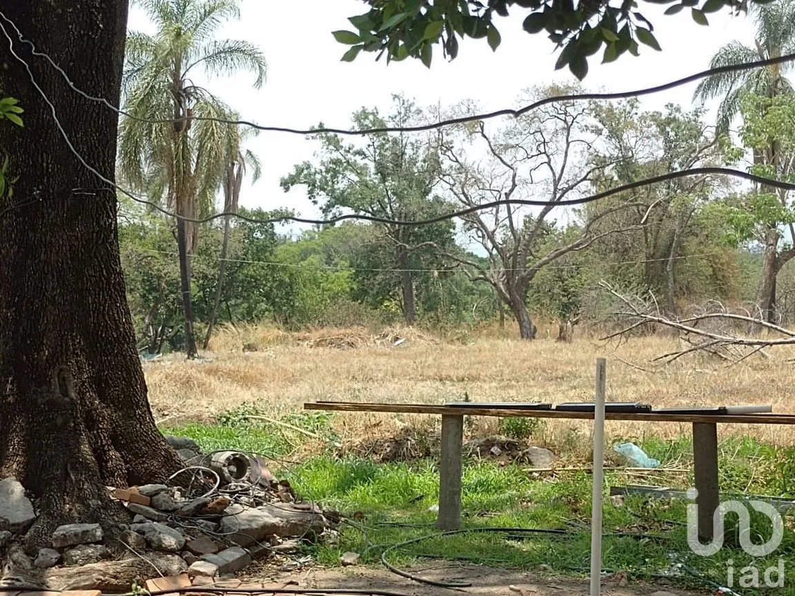 Terreno en Venta en Cantarranas, Cuernavaca, Morelos | NEX-150492 | iad México | Foto 4 de 13