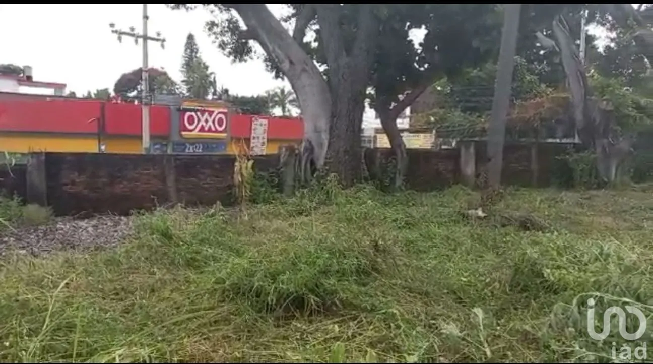 Terreno en Venta en Cantarranas, Cuernavaca, Morelos | NEX-150492 | iad México | Foto 6 de 13