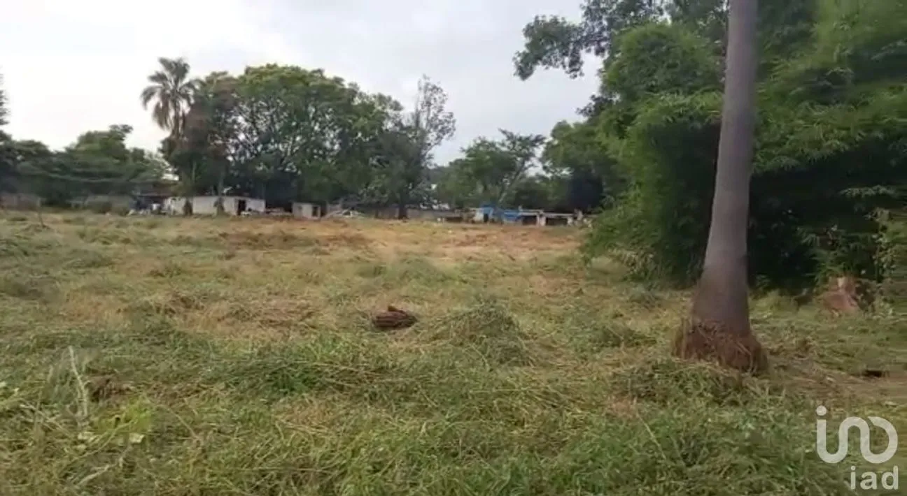 Terreno en Venta en Cantarranas, Cuernavaca, Morelos | NEX-150492 | iad México | Foto 7 de 13