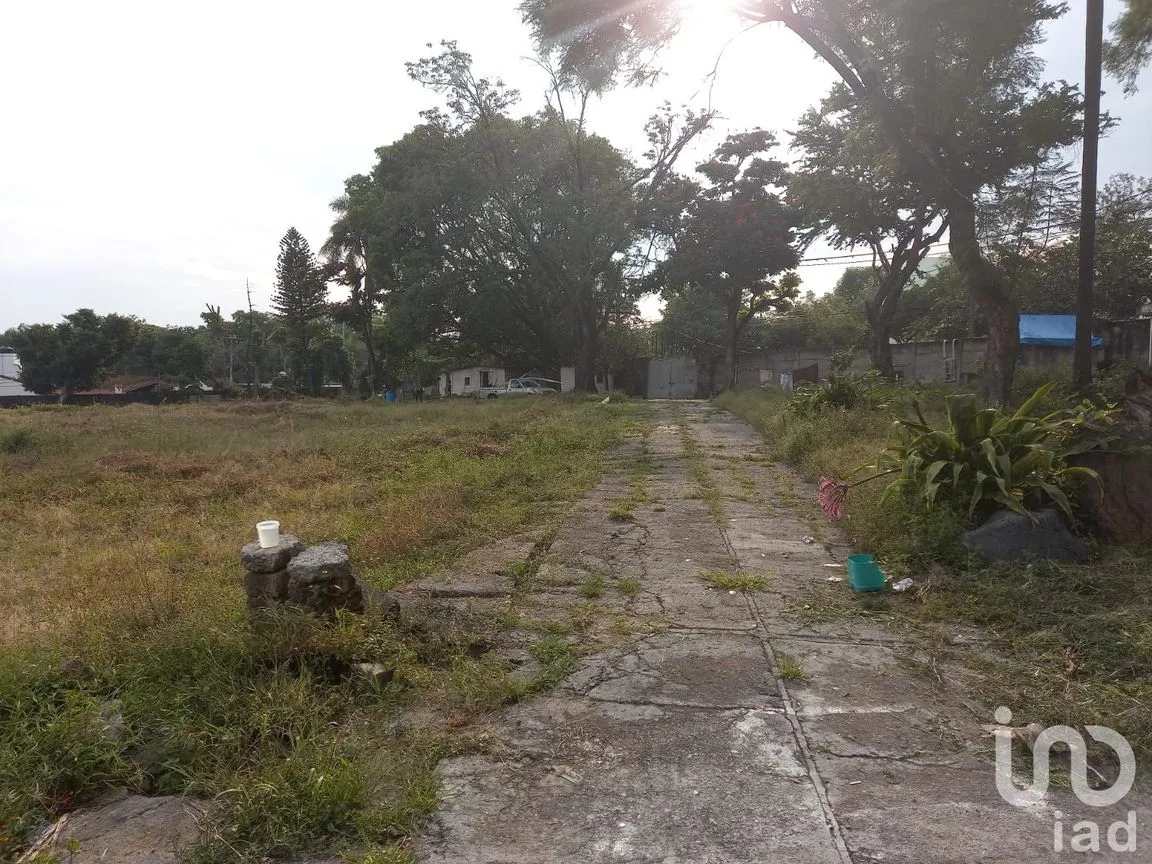 Terreno en Venta en Cantarranas, Cuernavaca, Morelos | NEX-150492 | iad México | Foto 8 de 13