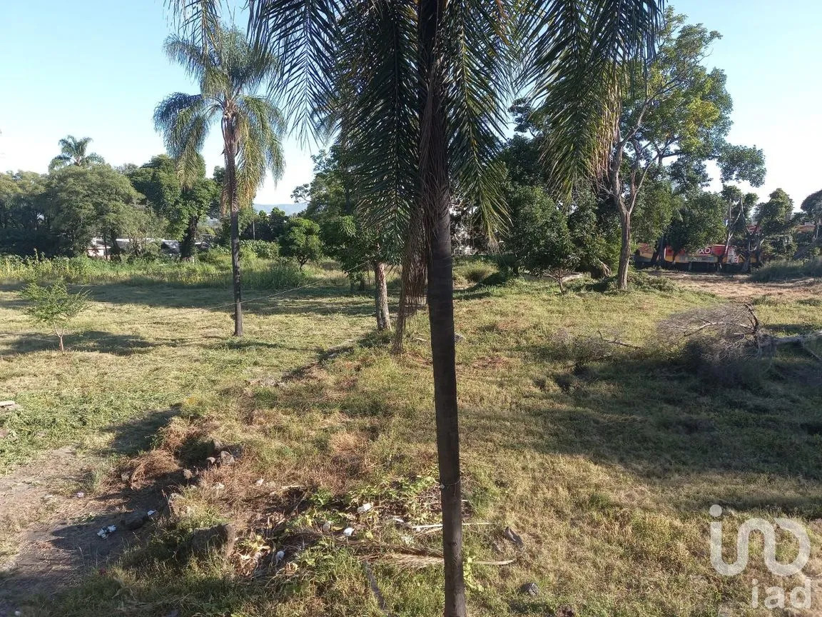 Terreno en Venta en Cantarranas, Cuernavaca, Morelos | NEX-150492 | iad México | Foto 9 de 13