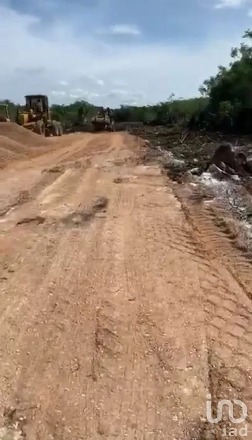Terreno en Venta en Sisal, Hunucmá, Yucatán | NEX-162195 | iad México | Foto 11 de 13