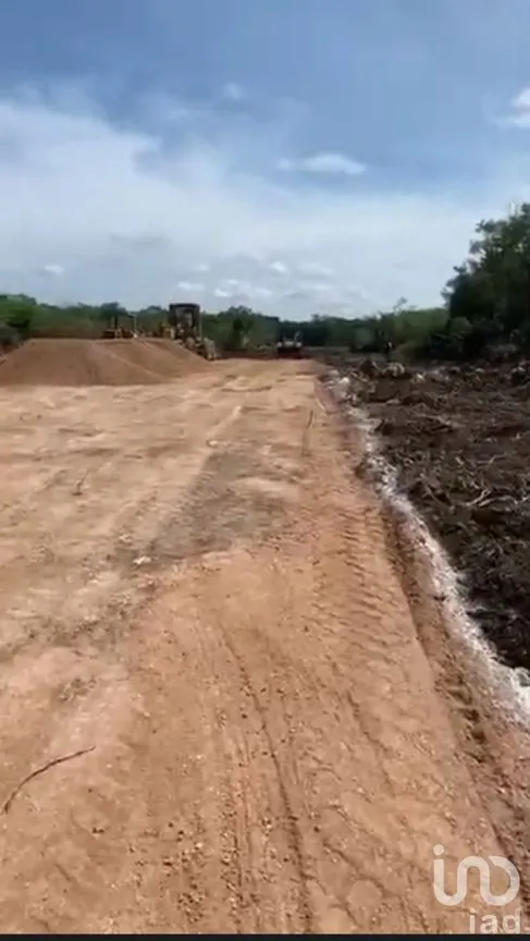 Terreno en Venta en Sisal, Hunucmá, Yucatán | NEX-162195 | iad México | Foto 7 de 13