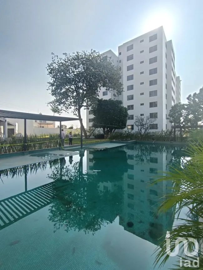 Departamento en Renta en Tetela del Monte, Cuernavaca, Morelos | NEX-172427 | iad México | Foto 3 de 44