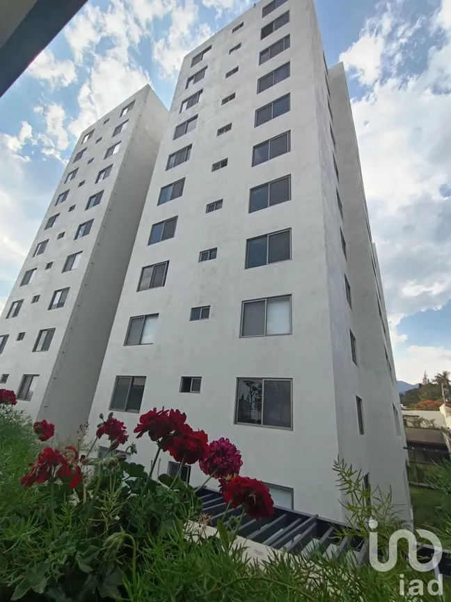 Departamento en Renta en Tetela del Monte, Cuernavaca, Morelos | NEX-172427 | iad México | Foto 7 de 44