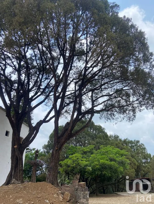 Casa en Venta en Ahuatepec, Cuernavaca, Morelos | NEX-187166 | iad México | Foto 10 de 25