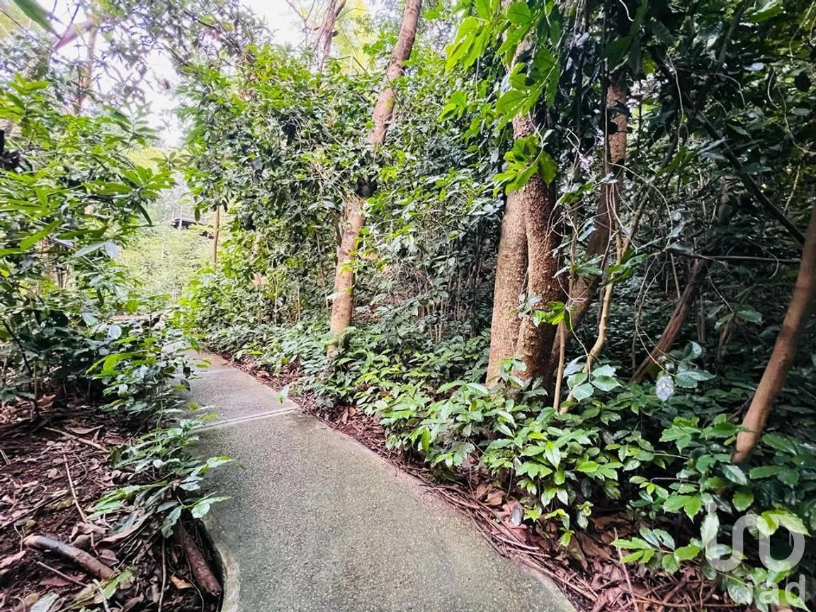 Departamento en Renta en Analco, Cuernavaca, Morelos | NEX-245267 | iad México | Foto 25 de 29