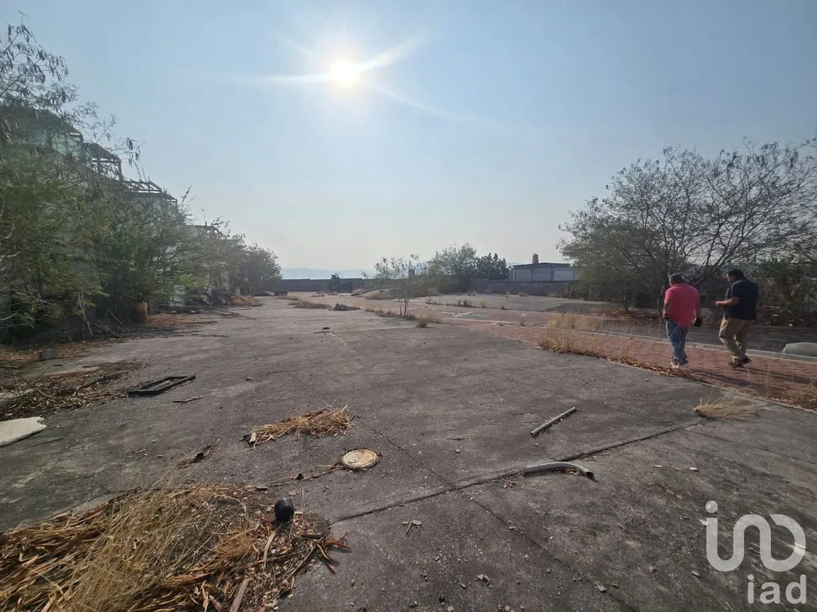Terreno en Venta en Tequesquitengo, Jojutla, Morelos | NEX-250841 | iad México | Foto 11 de 20