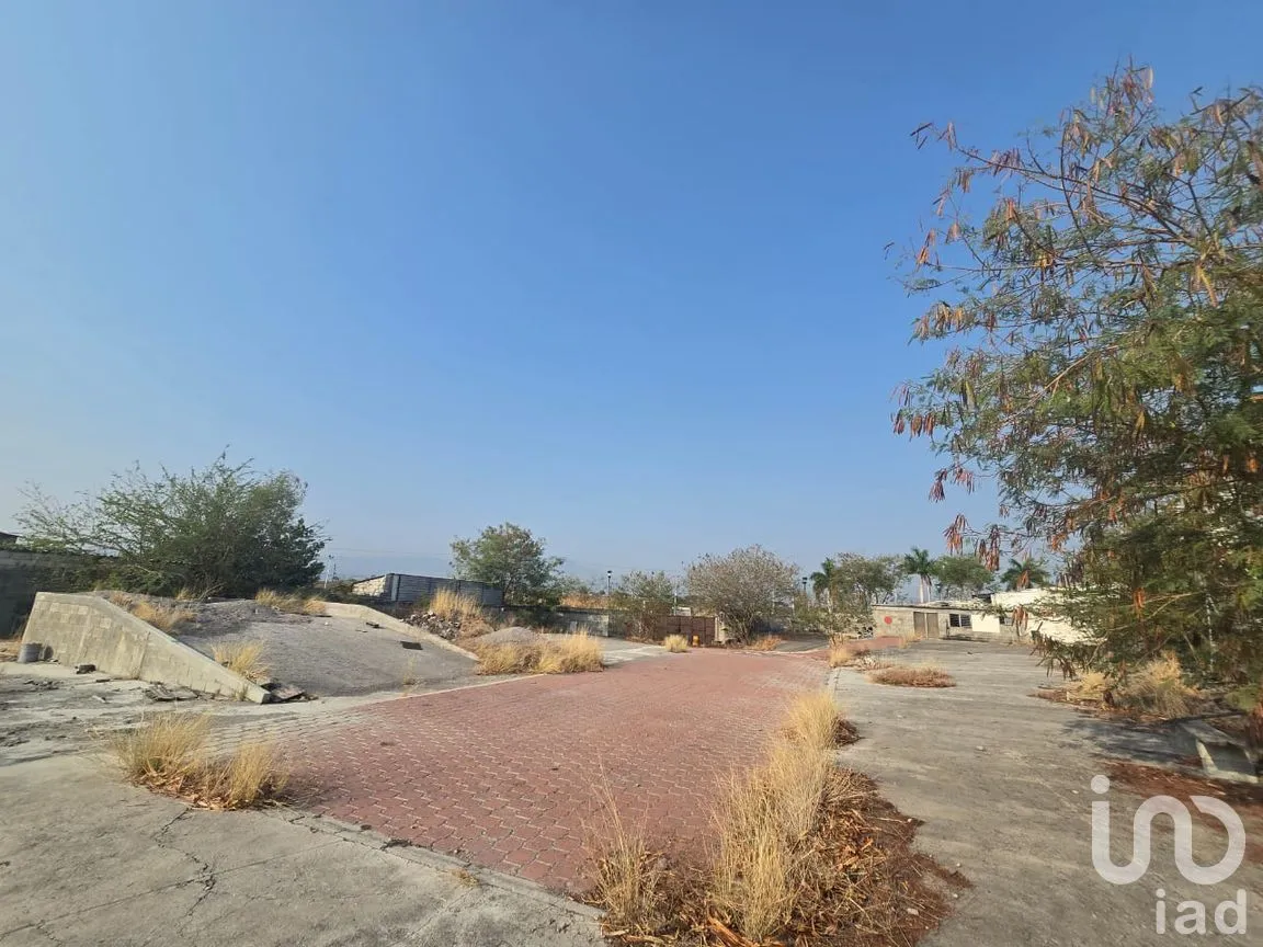 Terreno en Venta en Tequesquitengo, Jojutla, Morelos | NEX-250841 | iad México | Foto 14 de 20
