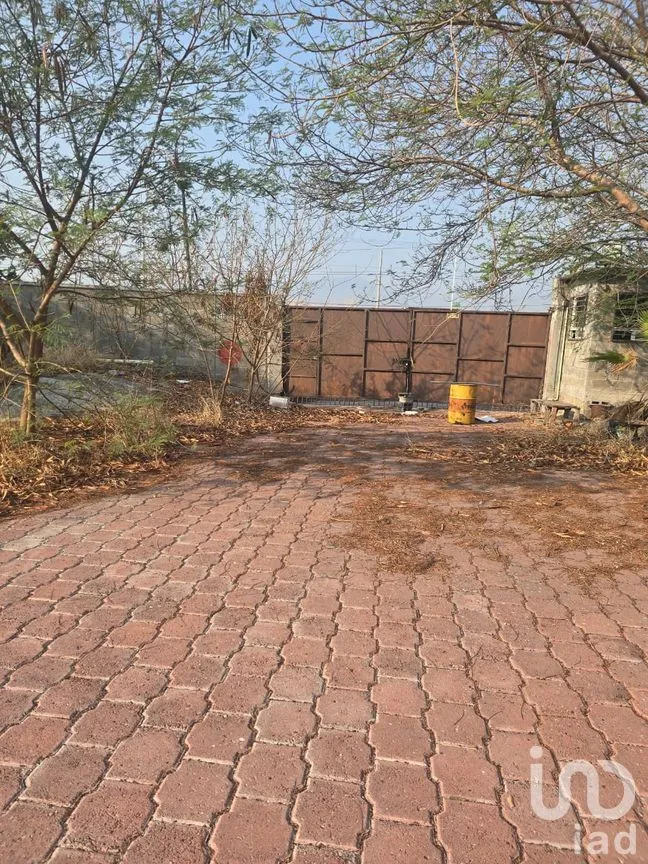 Terreno en Venta en Tequesquitengo, Jojutla, Morelos | NEX-250841 | iad México | Foto 17 de 20