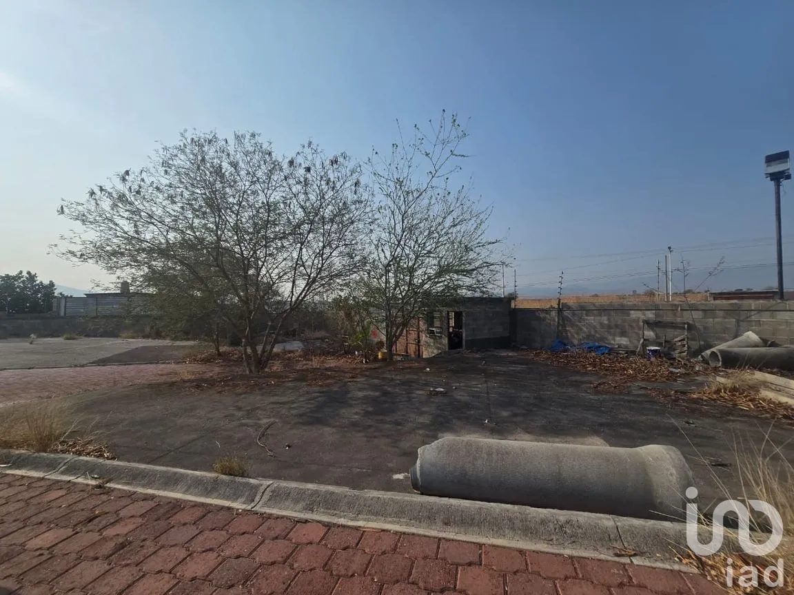 Terreno en Venta en Tequesquitengo, Jojutla, Morelos | NEX-250841 | iad México | Foto 18 de 20