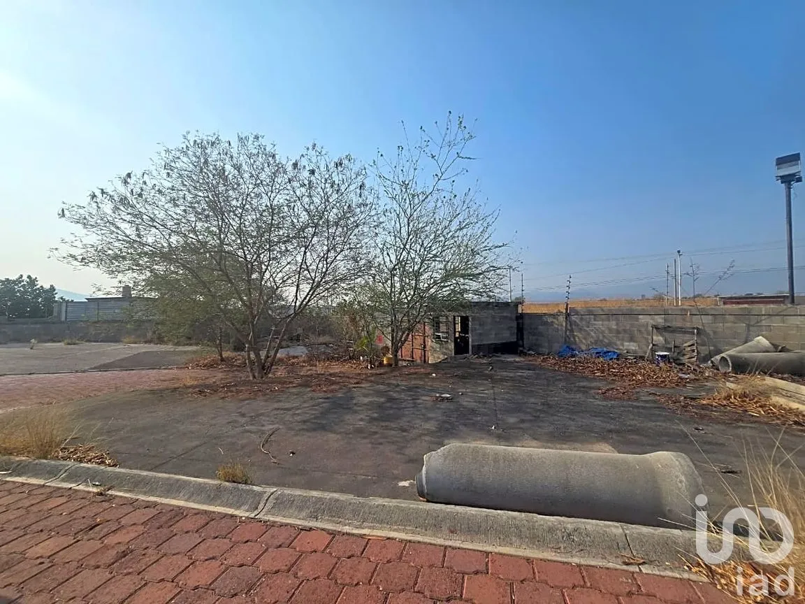 Terreno en Venta en Tequesquitengo, Jojutla, Morelos | NEX-250841 | iad México | Foto 7 de 20