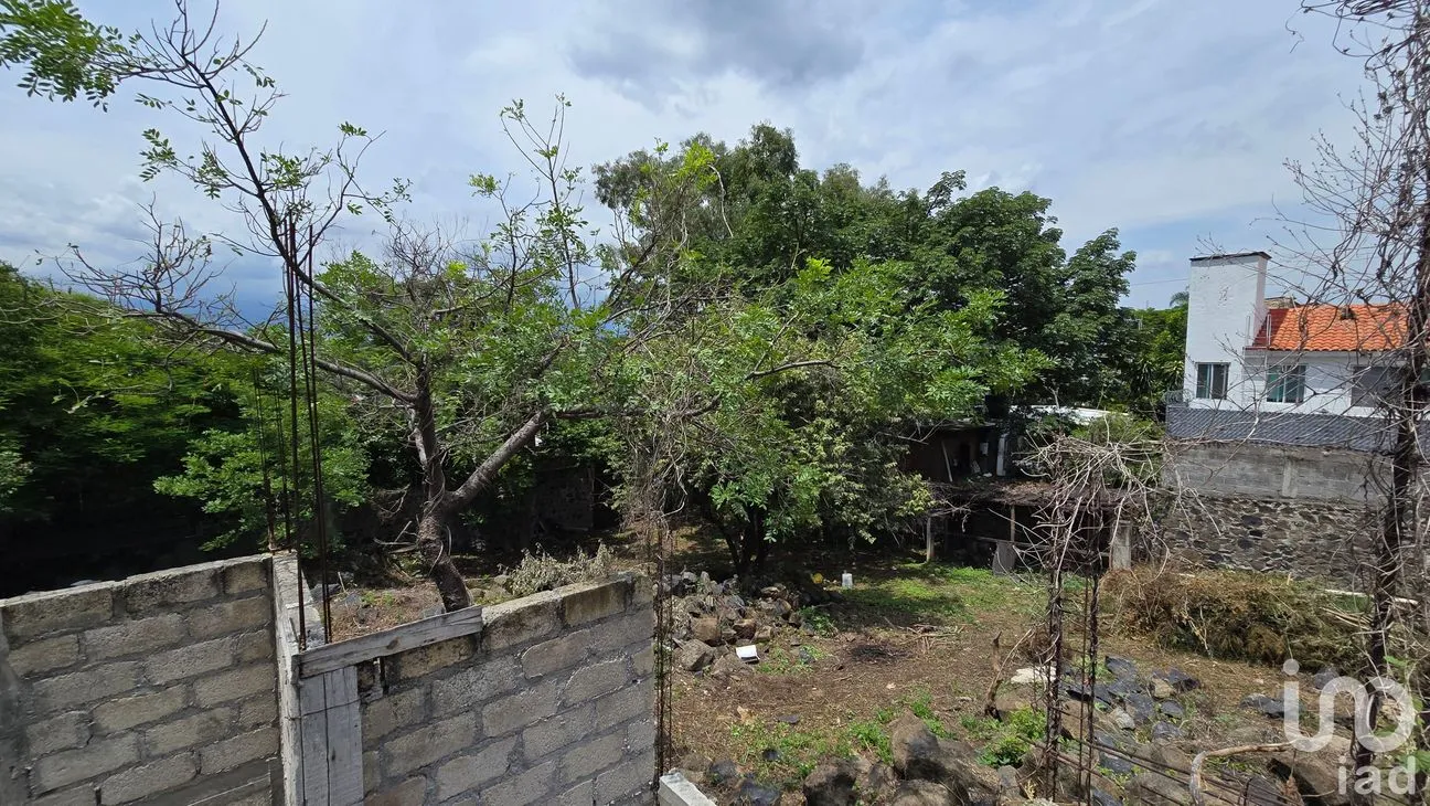 Terreno en Venta en Tres de Mayo, Emiliano Zapata, Morelos | NEX-255873 | iad México | Foto 11 de 17