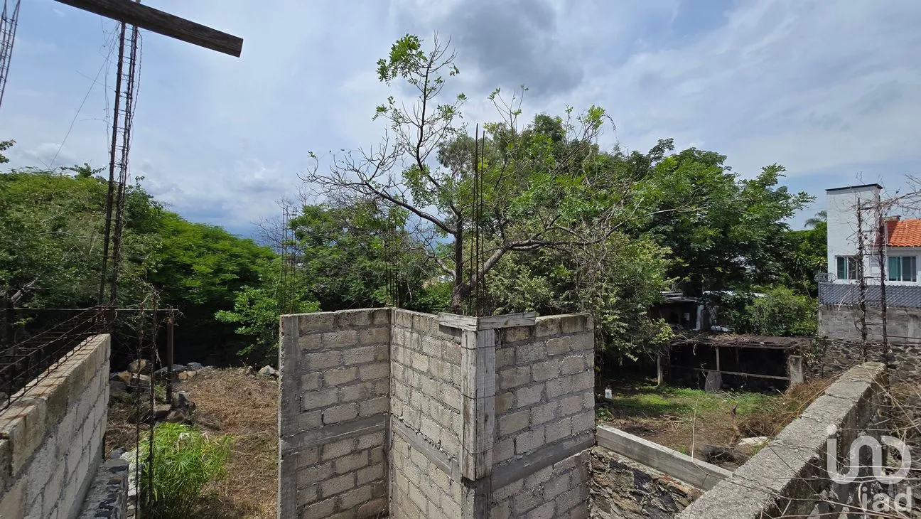 Terreno en Venta en Tres de Mayo, Emiliano Zapata, Morelos | NEX-255873 | iad México | Foto 12 de 17