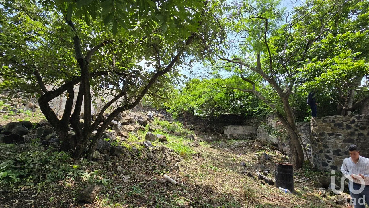 Terreno en Venta en Tres de Mayo, Emiliano Zapata, Morelos | NEX-255873 | iad México | Foto 14 de 17