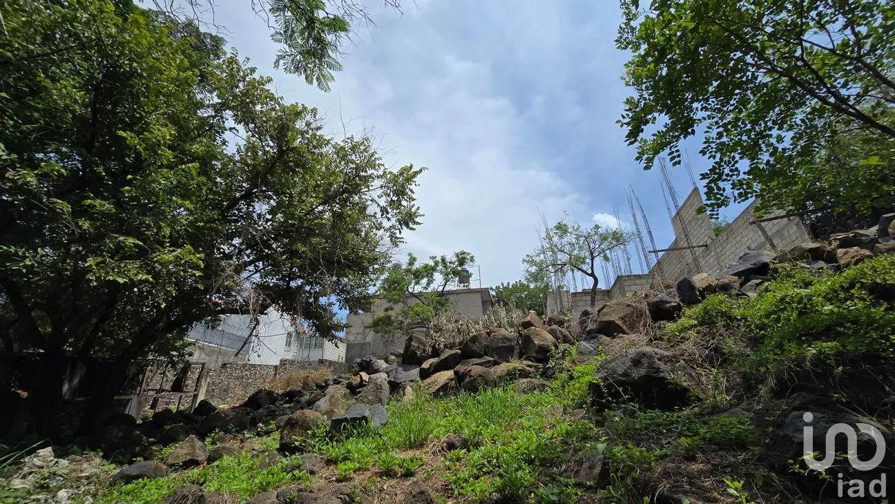 Terreno en Venta en Tres de Mayo, Emiliano Zapata, Morelos | NEX-255873 | iad México | Foto 15 de 17