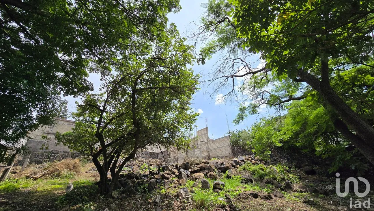 Terreno en Venta en Tres de Mayo, Emiliano Zapata, Morelos | NEX-255873 | iad México | Foto 16 de 17