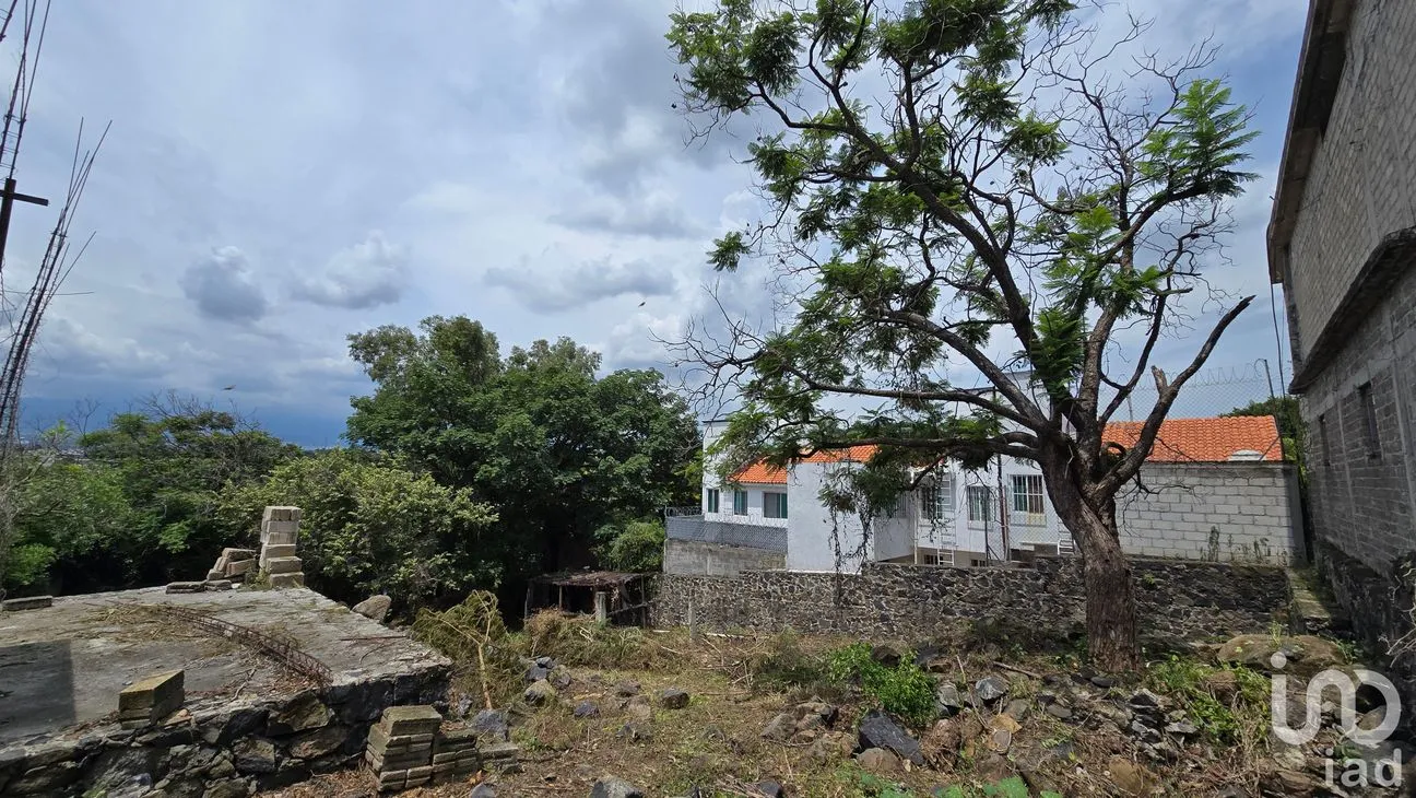 Terreno en Venta en Tres de Mayo, Emiliano Zapata, Morelos | NEX-255873 | iad México | Foto 3 de 17
