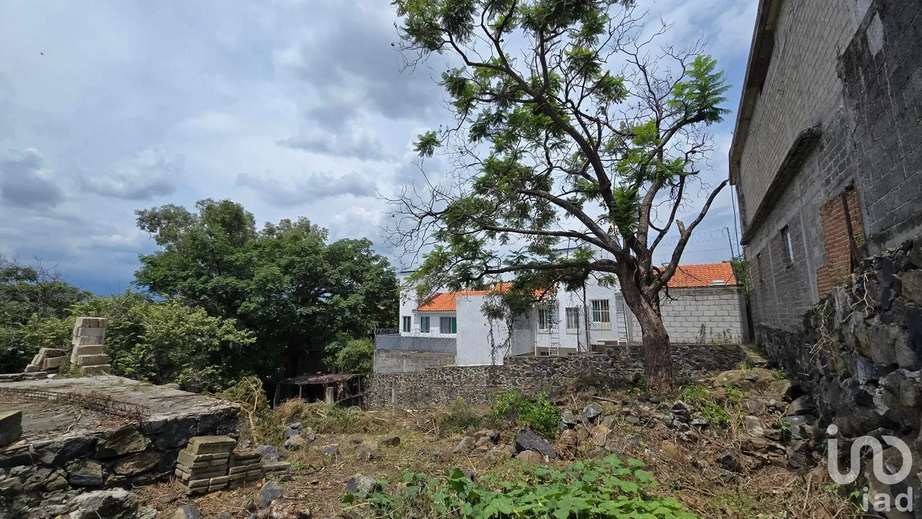 Terreno en Venta en Tres de Mayo, Emiliano Zapata, Morelos | NEX-255873 | iad México | Foto 5 de 17