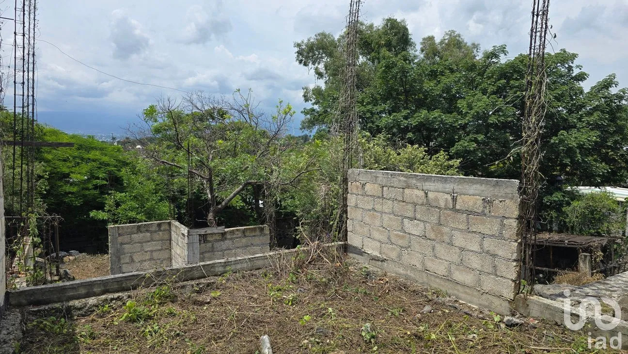 Terreno en Venta en Tres de Mayo, Emiliano Zapata, Morelos | NEX-255873 | iad México | Foto 6 de 17