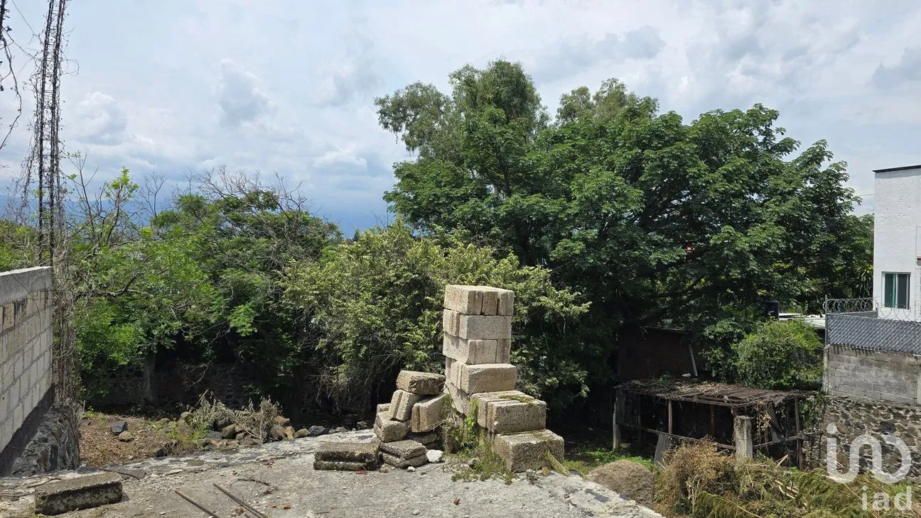 Terreno en Venta en Tres de Mayo, Emiliano Zapata, Morelos | NEX-255873 | iad México | Foto 7 de 17
