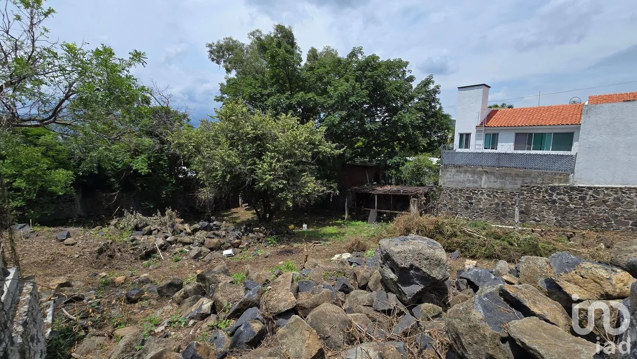 Terreno en Venta en Tres de Mayo, Emiliano Zapata, Morelos | NEX-255873 | iad México | Foto 9 de 17