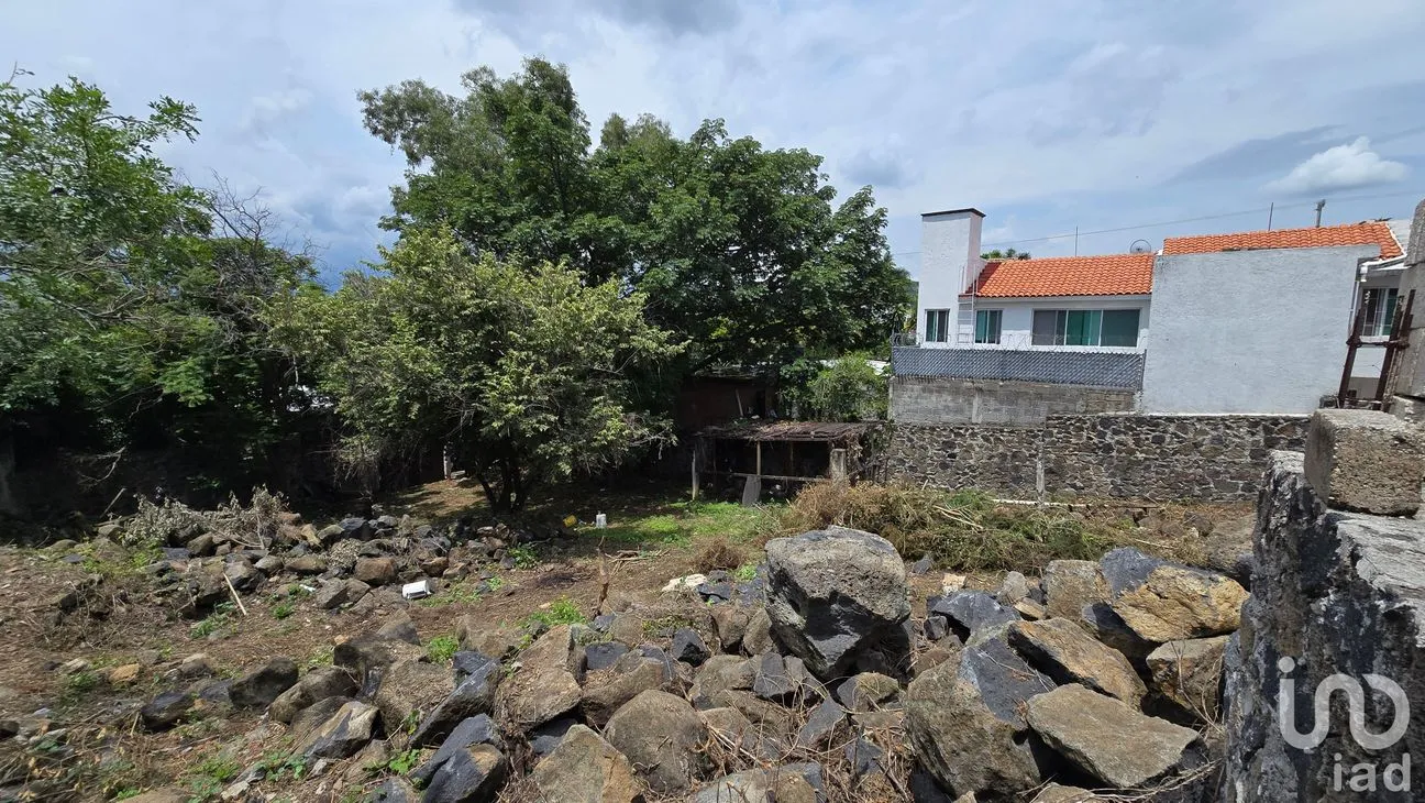 Terreno en Venta en Tres de Mayo, Emiliano Zapata, Morelos | NEX-255873 | iad México | Foto 10 de 17