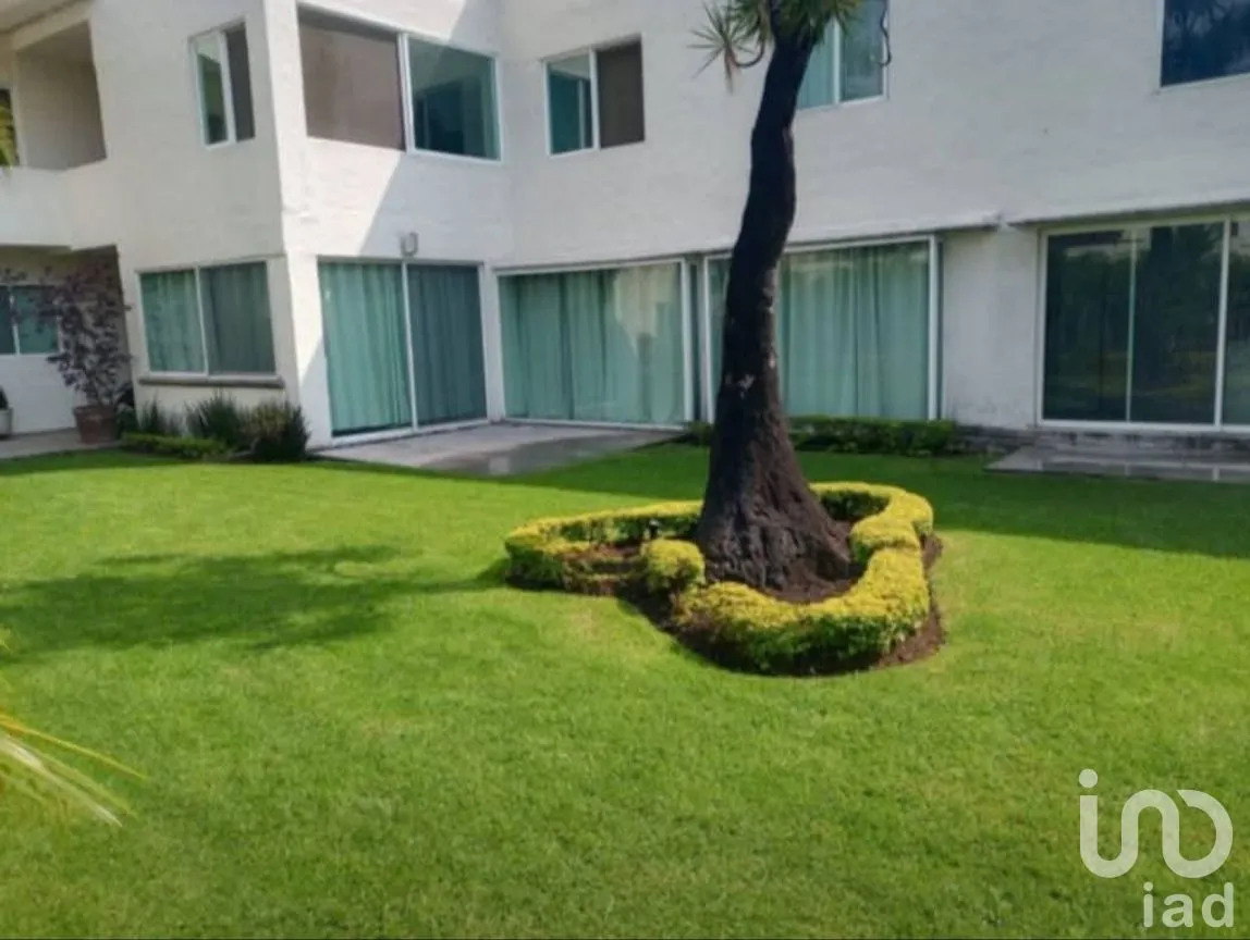 Departamento en Renta en Vista Hermosa, Cuernavaca, Morelos | NEX-286392 | iad México | Foto 6 de 8