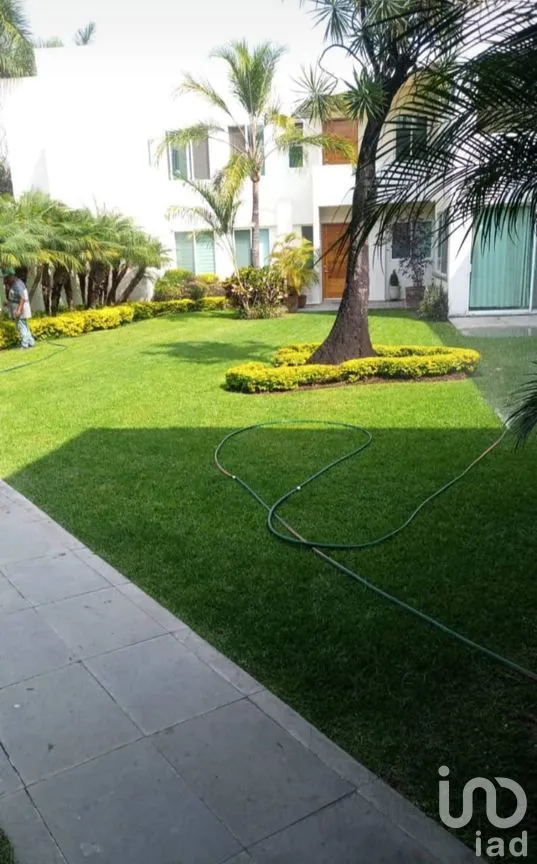Departamento en Renta en Vista Hermosa, Cuernavaca, Morelos | NEX-286392 | iad México | Foto 7 de 8