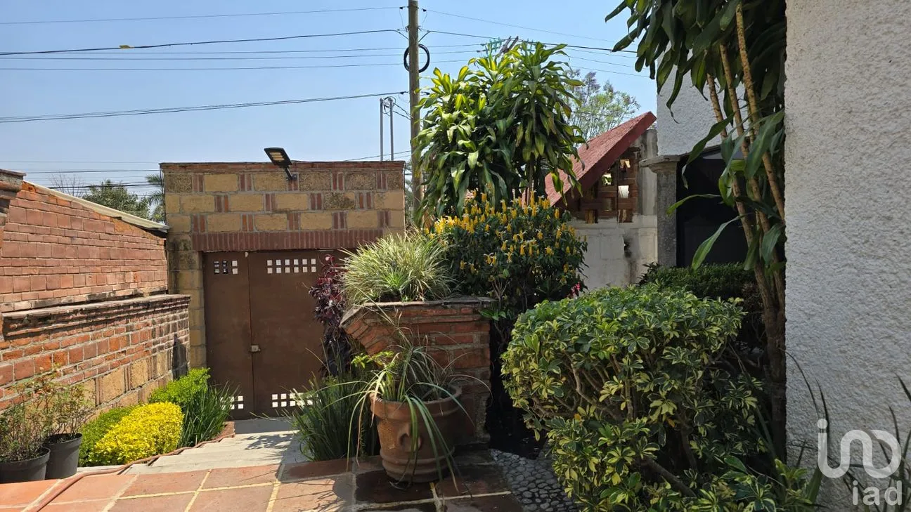 Casa en Renta en Bello Horizonte, Cuernavaca, Morelos | NEX-291704 | iad México | Foto 19 de 21